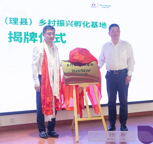 1631173474519635.jpg 1c.jpg